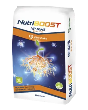 NutriBOOST NP 10:45