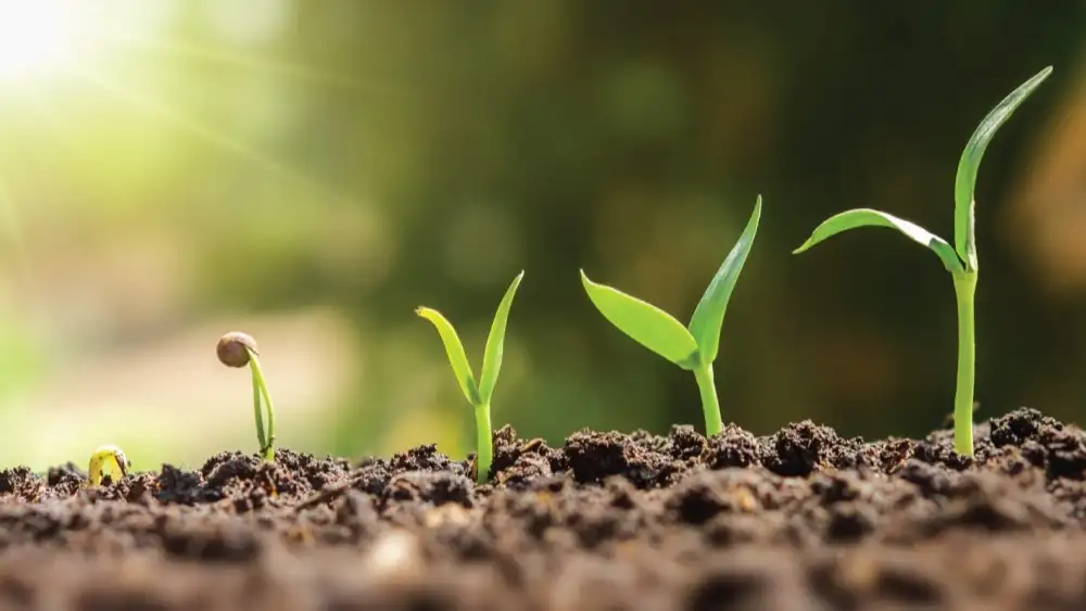Make farming efficient and sustainable for growing  products.